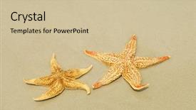  Presentation with beach - PPT theme with rear view of young muscular man black and white background and a black colored foreground