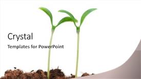  Presentation with concept - Cool new presentation with two seedlings illustrating the concept backdrop and a  colored foreground