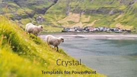  Presentation with village - Colorful presentation theme enhanced with two-sheeps-near-tjornuvik-village backdrop and a gold colored foreground
