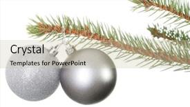  Presentation with silver christmas - Colorful PPT theme enhanced with two silver christmas balls hanging on a fir isolated on white backdrop and a soft green colored foreground
