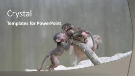  Presentation with play kids - PPT theme enhanced with  background and a  colored foreground