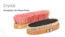  Presentation with horses - Presentation with two-soft-brushes-for-grooming background and a pink colored foreground