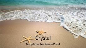  Presentation with fish beach - Amazing PPT theme having two starfish on a beach backdrop and a coral colored foreground