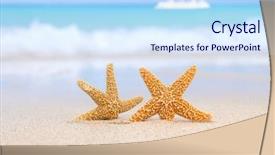  Presentation with fish beach - Amazing slide deck having two starfish on beach blue backdrop and a sky blue colored foreground