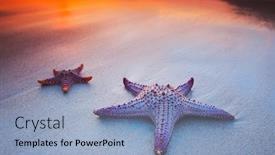  Presentation with tropical beach sunset - PPT layouts with two-starfish-on-sea-beach background and a light blue colored foreground
