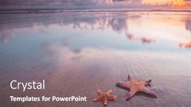  Presentation with tropical beach sunset - Colorful presentation enhanced with two-starfish-on-summer-beach backdrop and a gray colored foreground