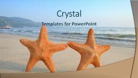  Presentation with starfish - Amazing slide set having two starfish sitting on beach backdrop and a light blue colored foreground