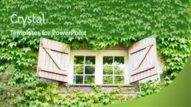  Presentation with house window - Audience pleasing presentation theme consisting of two-storied house with open window overgrown with ivy portugal madeira backdrop and a forest green colored foreground