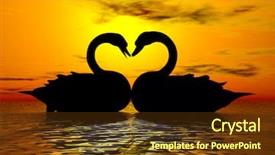  Presentation with bird - PPT layouts with two swans forming a heart background and a tawny brown colored foreground
