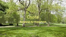  Presentation with tall - PPT theme featuring two tall trees next background and a tawny brown colored foreground