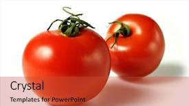  Presentation with tomatoes mechanism - Presentation design with two-tomatoes-on-white-background background and a red colored foreground