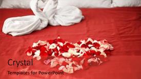  Presentation with pink rose petals on white - Amazing slides having two towel swans and rose backdrop and a  colored foreground