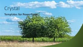  Presentation with corn - Slides having two-trees-line-the-edge background and a light blue colored foreground