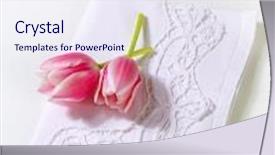  Presentation with pure white - Presentation theme having two tulip blossoms with a pure white linen background and a sky blue colored foreground