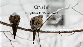  Presentation with blizzard - PPT layouts having two-turtle-dove-sitting background and a light gray colored foreground