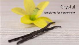  Presentation with vanilla - Amazing slides having two-vanilla-pods-with-vanilla backdrop and a light gray colored foreground