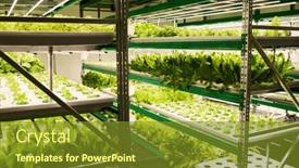  Presentation with vertical - Theme featuring two-vertical-trusses-with-shelves background and a tawny brown colored foreground