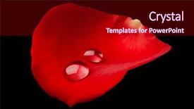  Presentation with water droplets - Theme having two water droplets lying background and a crimson colored foreground