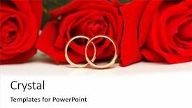  Presentation with wedding roses - Beautiful presentation theme featuring two wedding rings and red roses isolated on white backdrop and a white colored foreground