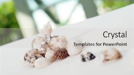  Presentation with wedding rings - PPT theme featuring two wedding rings on coral background and a soft green colored foreground