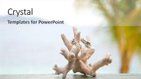  Presentation with wedding rings - Colorful presentation theme enhanced with two wedding rings on coral backdrop and a white colored foreground