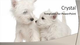  Presentation with old west - PPT theme consisting of two west highland terrier puppies background and a white colored foreground