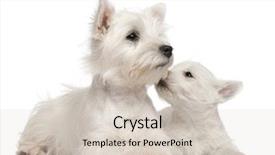  Presentation with old west - Slide deck consisting of two west highland terrier puppies background and a soft green colored foreground