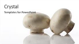  Presentation with mushroom - Presentation having two white mushrooms on white background and a white colored foreground