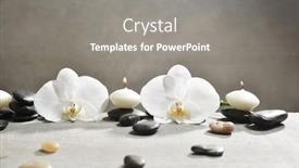  Presentation with orchid - PPT theme consisting of two white orchid with pile of gray stones and candle on gray background background and a gray colored foreground