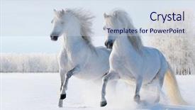  Presentation with white snow - Theme consisting of two white stallions gallop background and a lemonade colored foreground