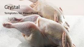  Presentation with baby chickens little cute chicks - Slides enhanced with two whole chickens background and a lemonade colored foreground