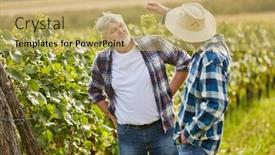  Presentation with grape vine - Slides enhanced with two-winegrowers-grape-picking-critically background and a yellow colored foreground