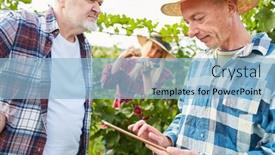  Presentation with planning - Beautiful slides featuring two-winegrowers-in-the-vineyard backdrop and a light blue colored foreground