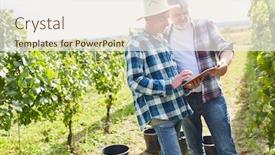  Presentation with computers - Slide deck consisting of two-winegrowers-with-tablet-computers background and a sky blue colored foreground