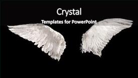  Presentation with fairy - Presentation consisting of two wings isolated on black background and a black colored foreground