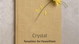  Presentation with parchment - Audience pleasing PPT theme consisting of two-yellow-daisy-like-flowers backdrop and a coral colored foreground