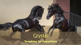  Presentation with spanish - Cool new presentation design with two-young-black-spanish-stallions backdrop and a tawny brown colored foreground