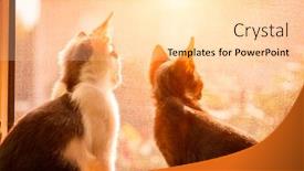  Presentation with cats - PPT theme consisting of two-young-cats-sitting background and a lemonade colored foreground