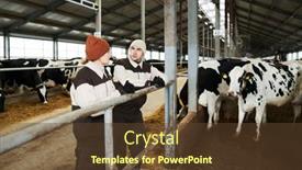  Presentation with improvement - Theme featuring two-young-farmers-in-workwear background and a tawny brown colored foreground