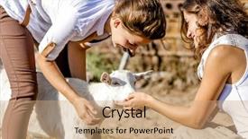 Presentation with goat farm - PPT layouts consisting of two young happy women feeding background and a  colored foreground