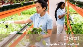 Presentation with intercultural - Audience pleasing slide set consisting of two-young-intercultural-female-greenhouse backdrop and a coral colored foreground