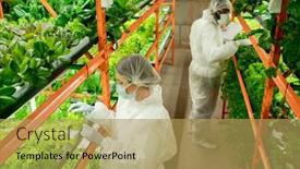  Presentation with vertical farm - Cool new PPT theme with two-young-intercultural-workers backdrop and a yellow colored foreground