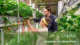  Presentation with vertical farm - Audience pleasing PPT layouts consisting of two-young-vertical-farm-workers backdrop and a tawny brown colored foreground