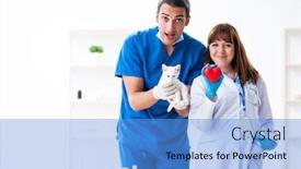  Presentation with vet - Cool new PPT layouts with two-young-vet-doctors-examining backdrop and a light blue colored foreground