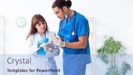  Presentation with vet - Cool new presentation theme with two-young-vet-doctors-examining backdrop and a light blue colored foreground