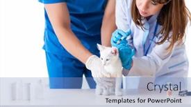  Presentation with vet - Beautiful slide deck featuring two-young-vet-doctors-examining backdrop and a teal colored foreground