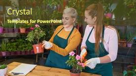  Presentation with caring - Slide deck having two-young-women-florists-work background and a tawny brown colored foreground