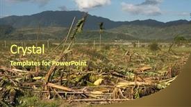  Presentation with banana tree - Audience pleasing presentation theme consisting of tyhoon - banana tree destroyed backdrop and a tawny brown colored foreground