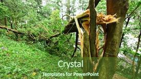  Presentation with typhoon - Slide deck having tyhoon - damaged after typhoon background and a tawny brown colored foreground