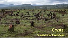  Presentation with burn - Beautiful slides featuring type of agriculture of madagascar backdrop and a tawny brown colored foreground